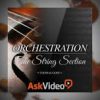 Orchestration 101 The String Section