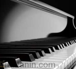 How to Play Blues Rock and Boogie Woogie Piano Today TUTORiAL 250x225 - سبد خرید