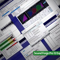 Groove3 Sound Forge Pro 12 Explained TUTORiAL 250x250 - سبد خرید